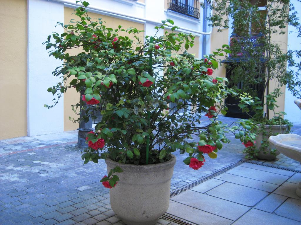 Hostal Huespedes Toledo Madrid Buitenkant foto